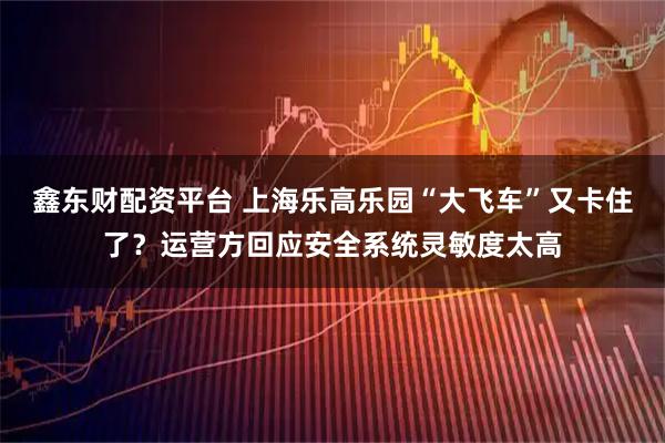 鑫东财配资平台 上海乐高乐园“大飞车”又卡住了？运营方回应安全系统灵敏度太高