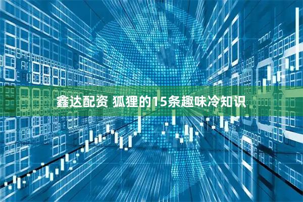 鑫达配资 狐狸的15条趣味冷知识