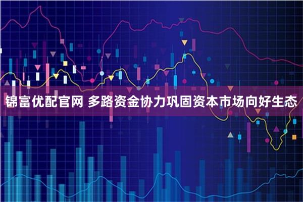 锦富优配官网 多路资金协力巩固资本市场向好生态