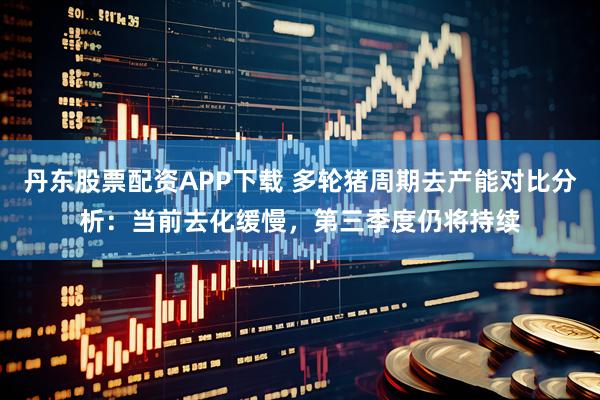 丹东股票配资APP下载 多轮猪周期去产能对比分析：当前去化缓慢，第三季度仍将持续